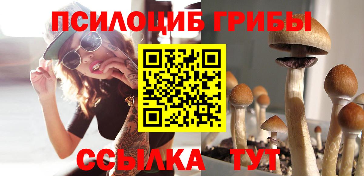 Лангепас  Псилоцибиновые грибы Psilocybe  Вход с VPN 